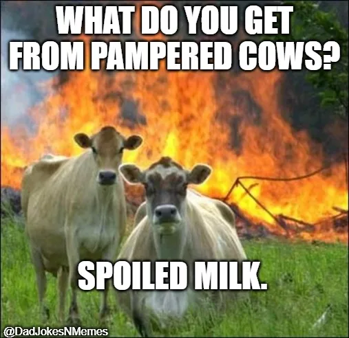 memecows.jpg