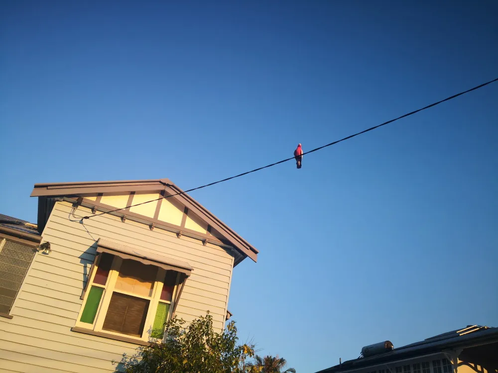 This_Old_House.jpg