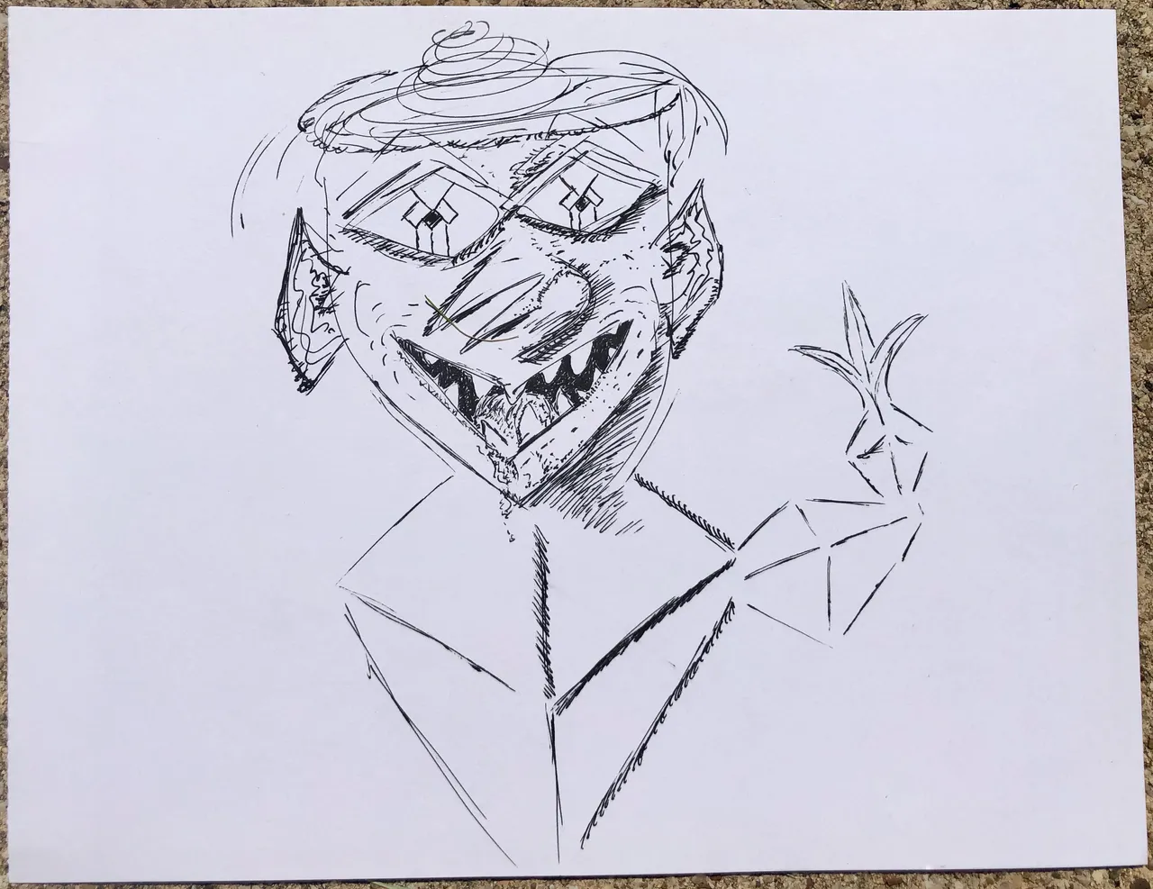 IMG_3540 2.png
