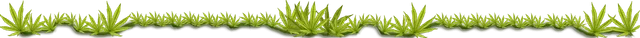 separador.png