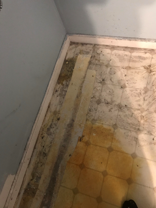 bathroom12.png