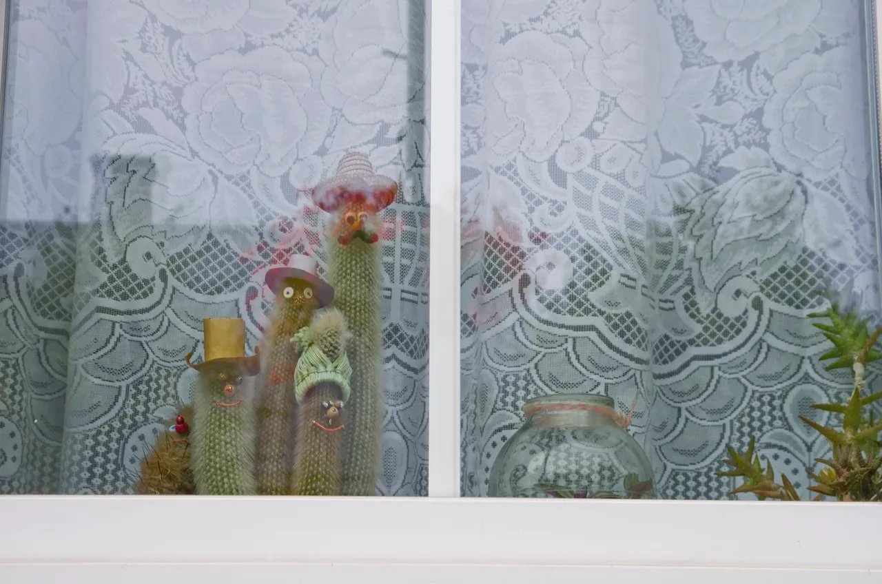 IMGP7156c.jpg