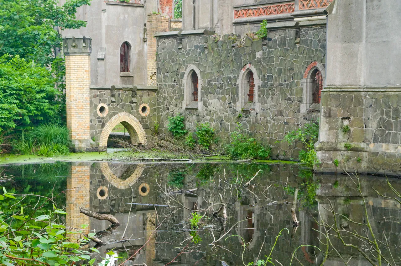 IMGP6441c.jpg