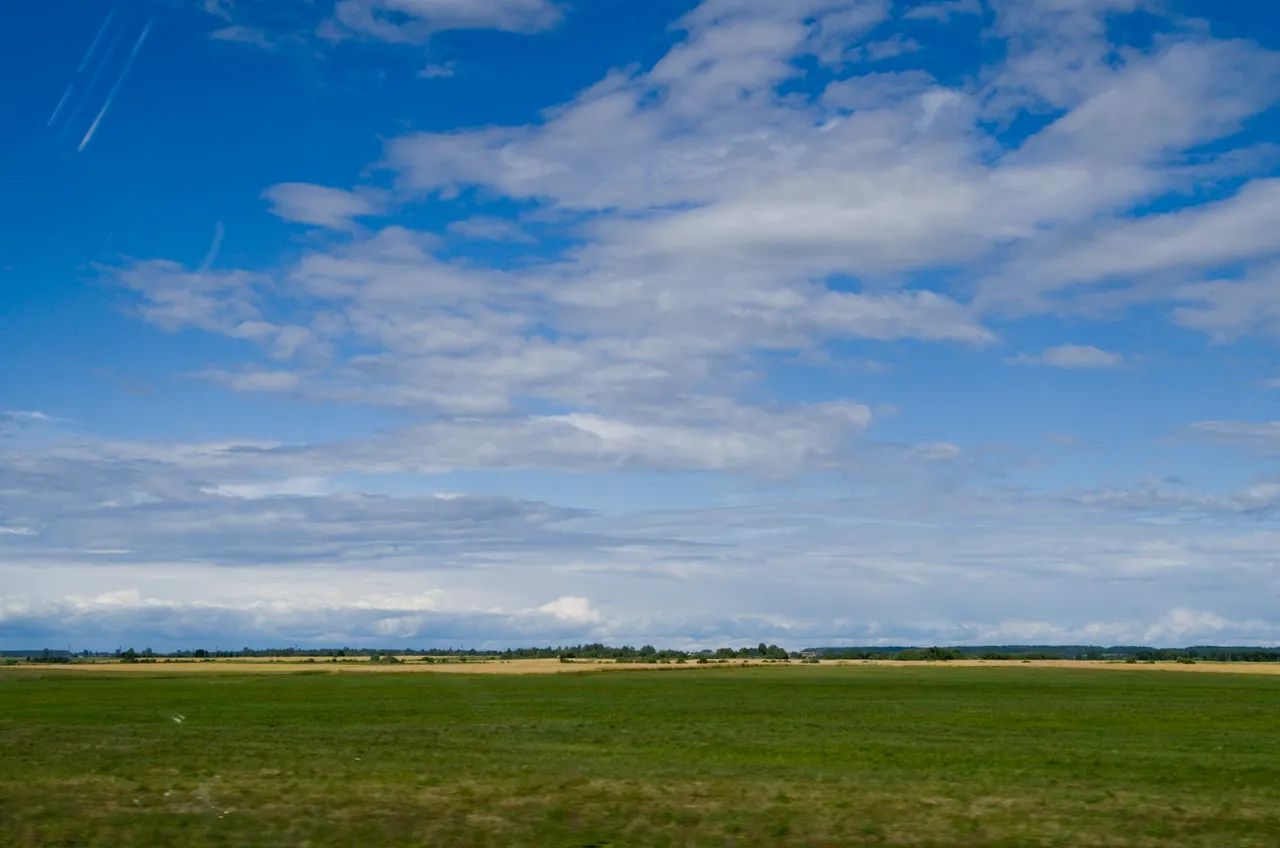 IMGP7386c.jpg
