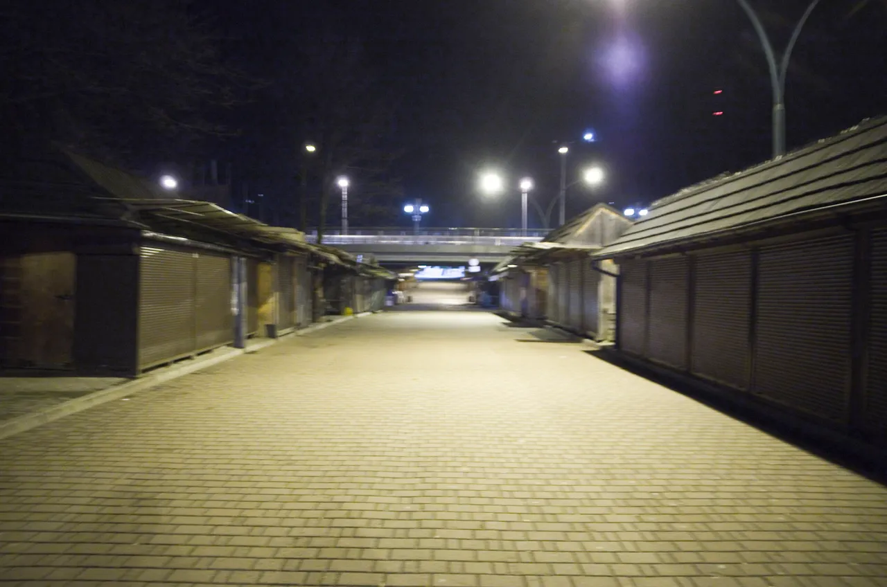 IMGP1267c.jpg