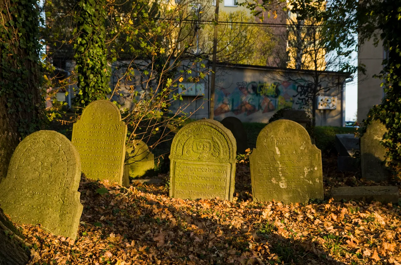 IMGP0722c.jpg