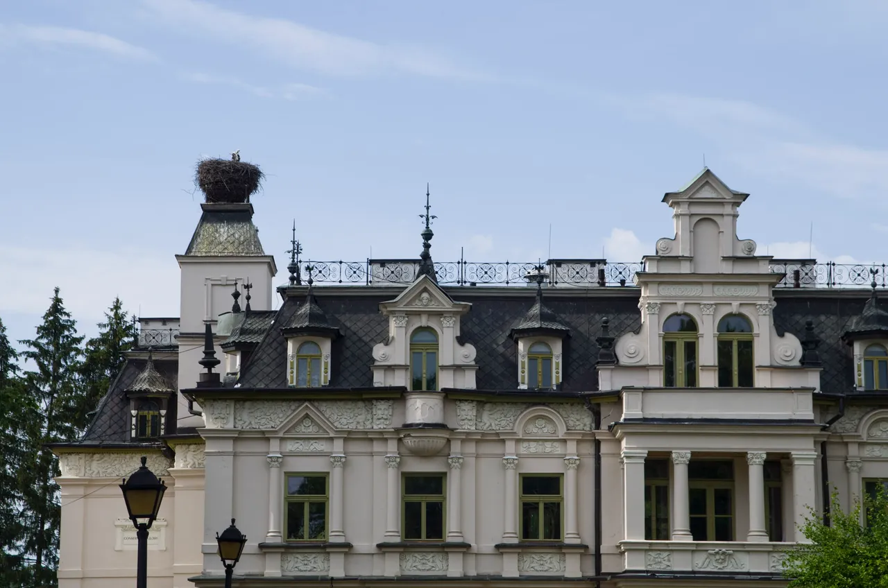 IMGP7161c.jpg