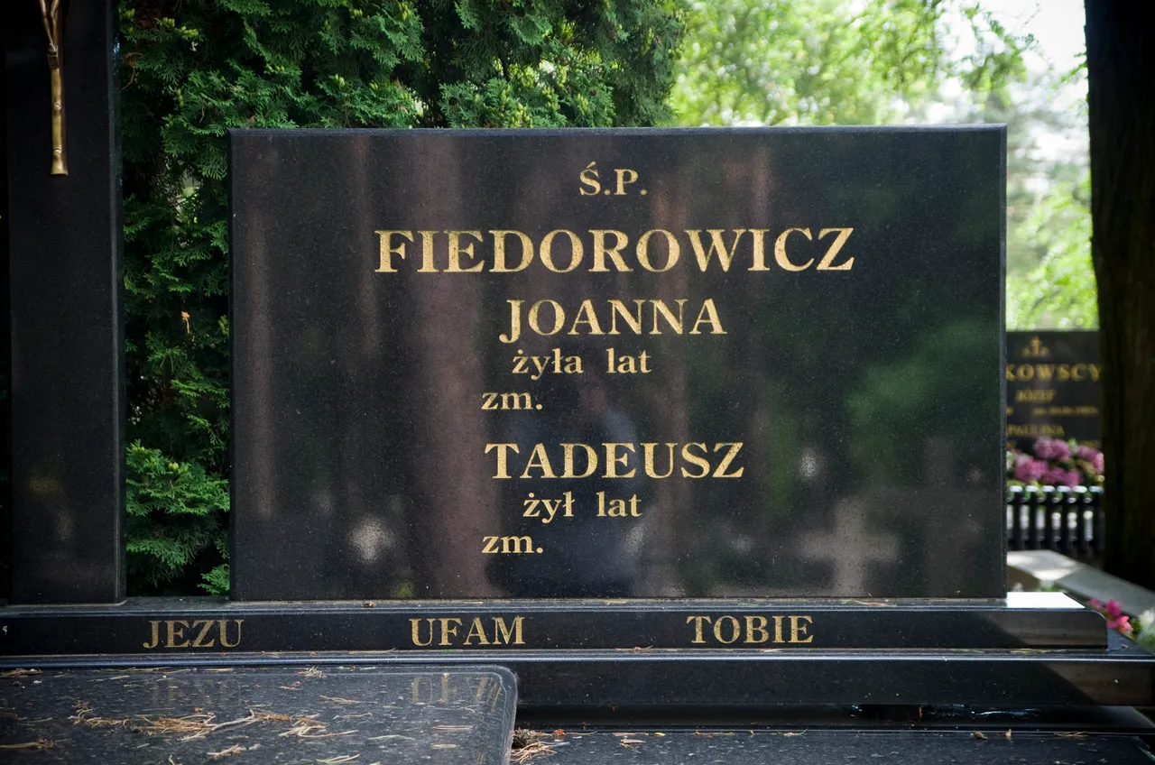 IMGP7203c.jpg
