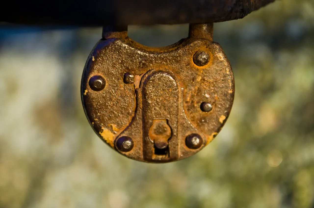 IMGP6749c.jpg