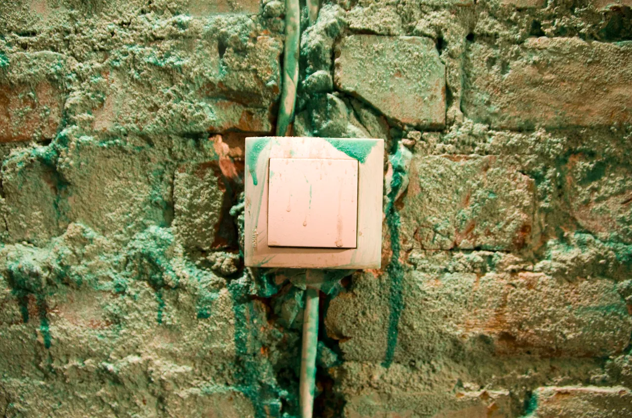 IMGP1375c.jpg