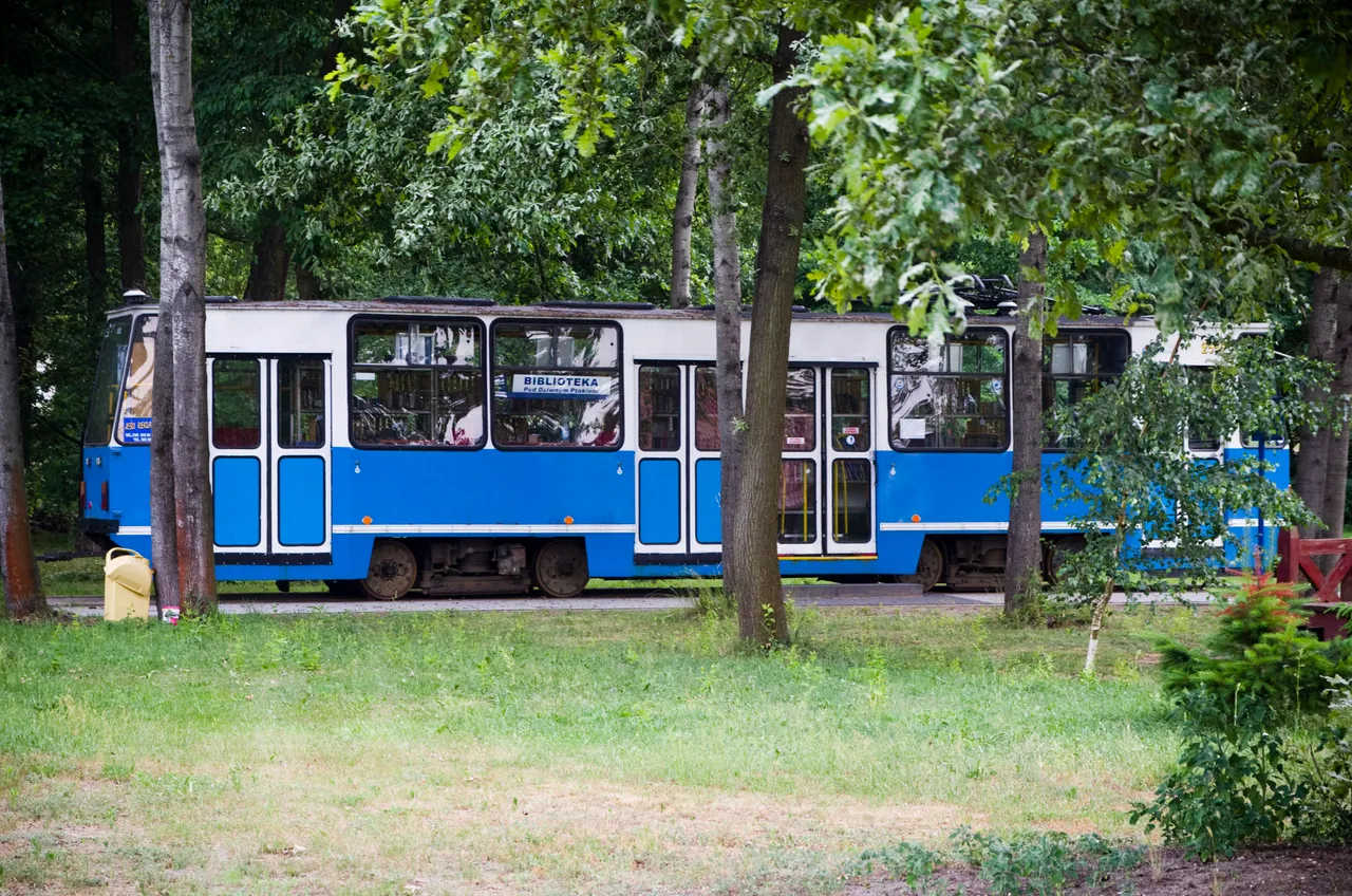 IMGP6488c.jpg