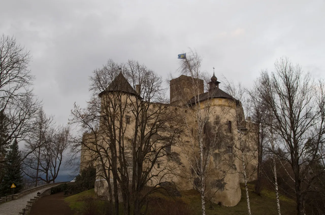 IMGP1252c.jpg