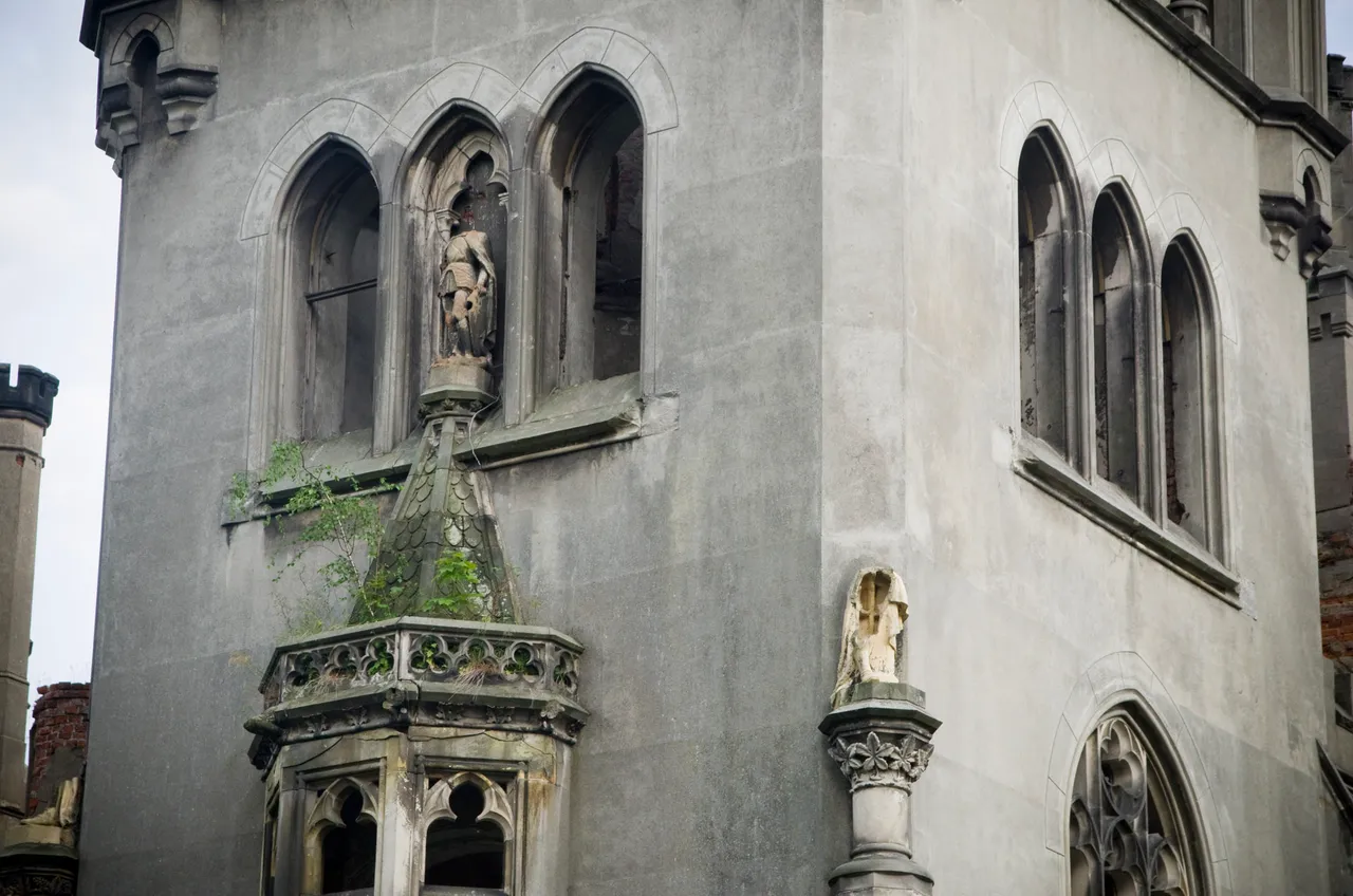 IMGP6442c.jpg