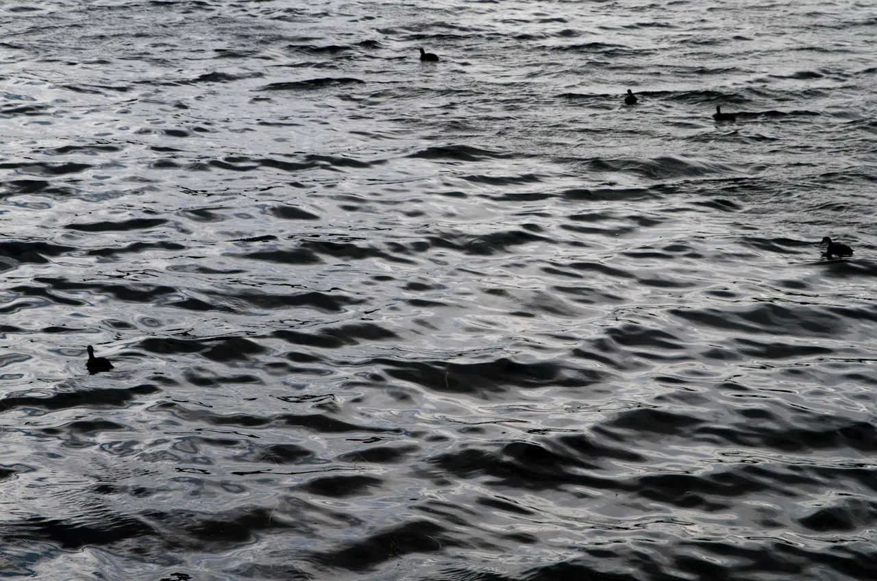 IMGP7216c.jpg