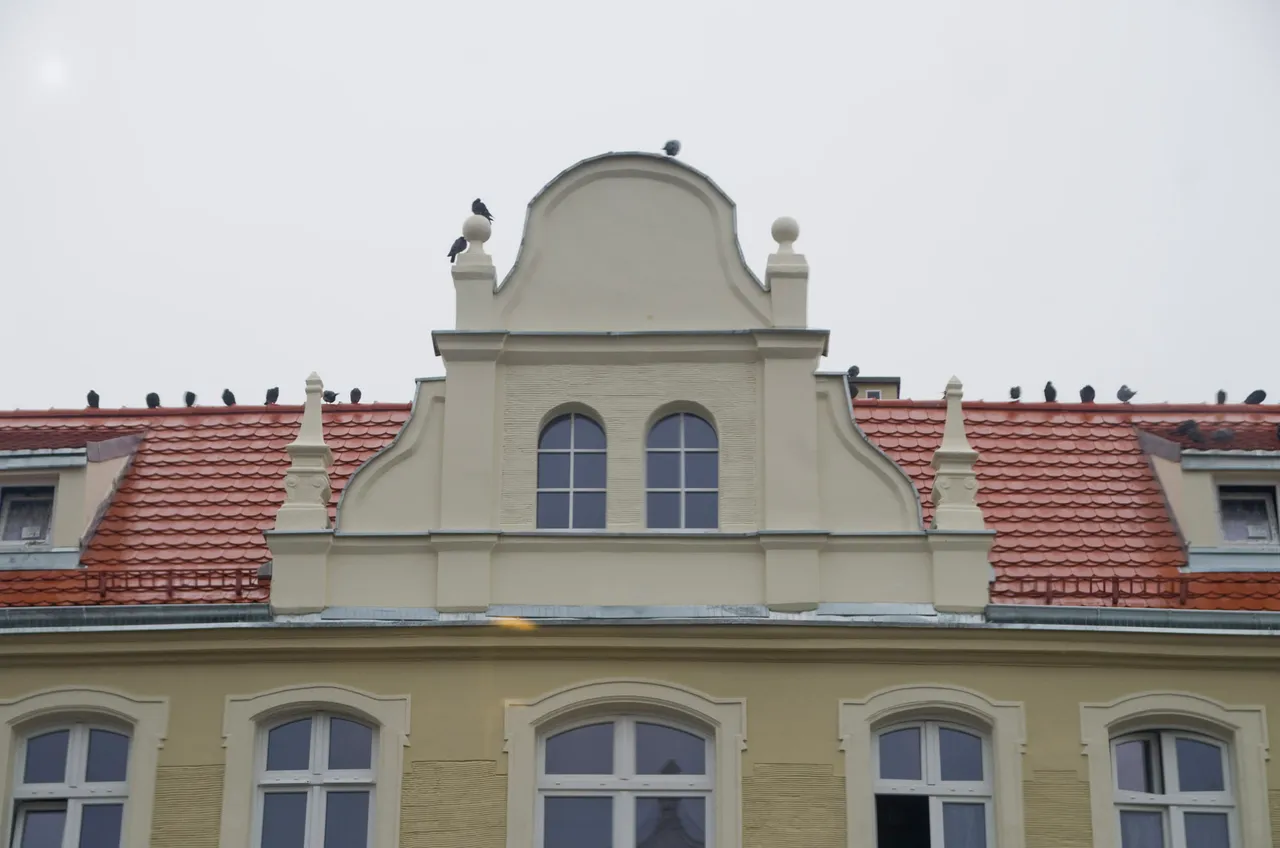 IMGP8853c.jpg