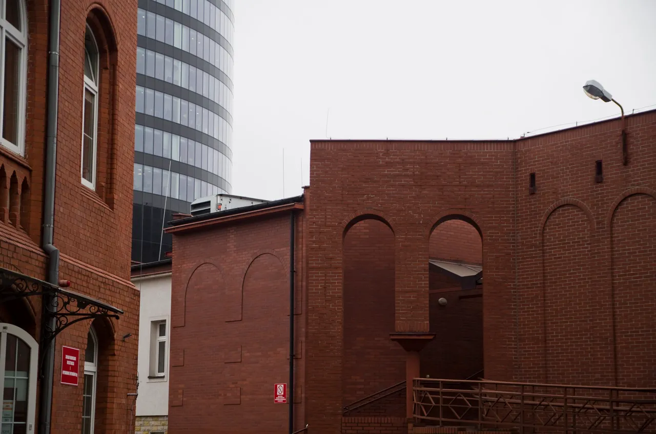 IMGP8907c.jpg