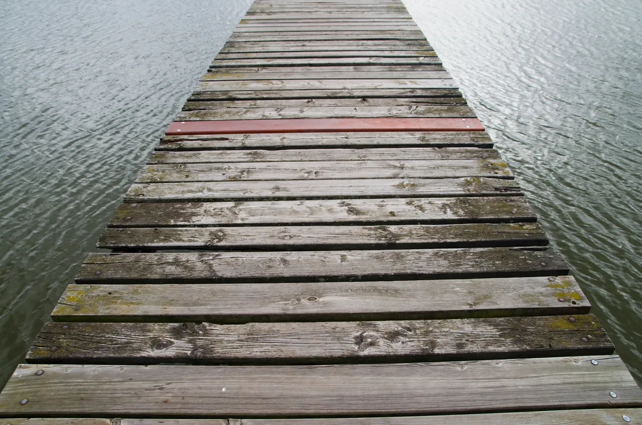 IMGP9890c.jpg