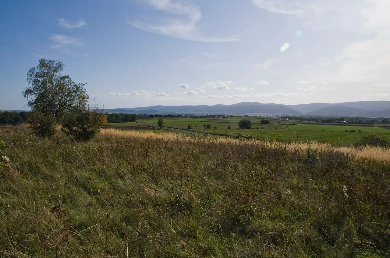 IMGP9034c.jpg