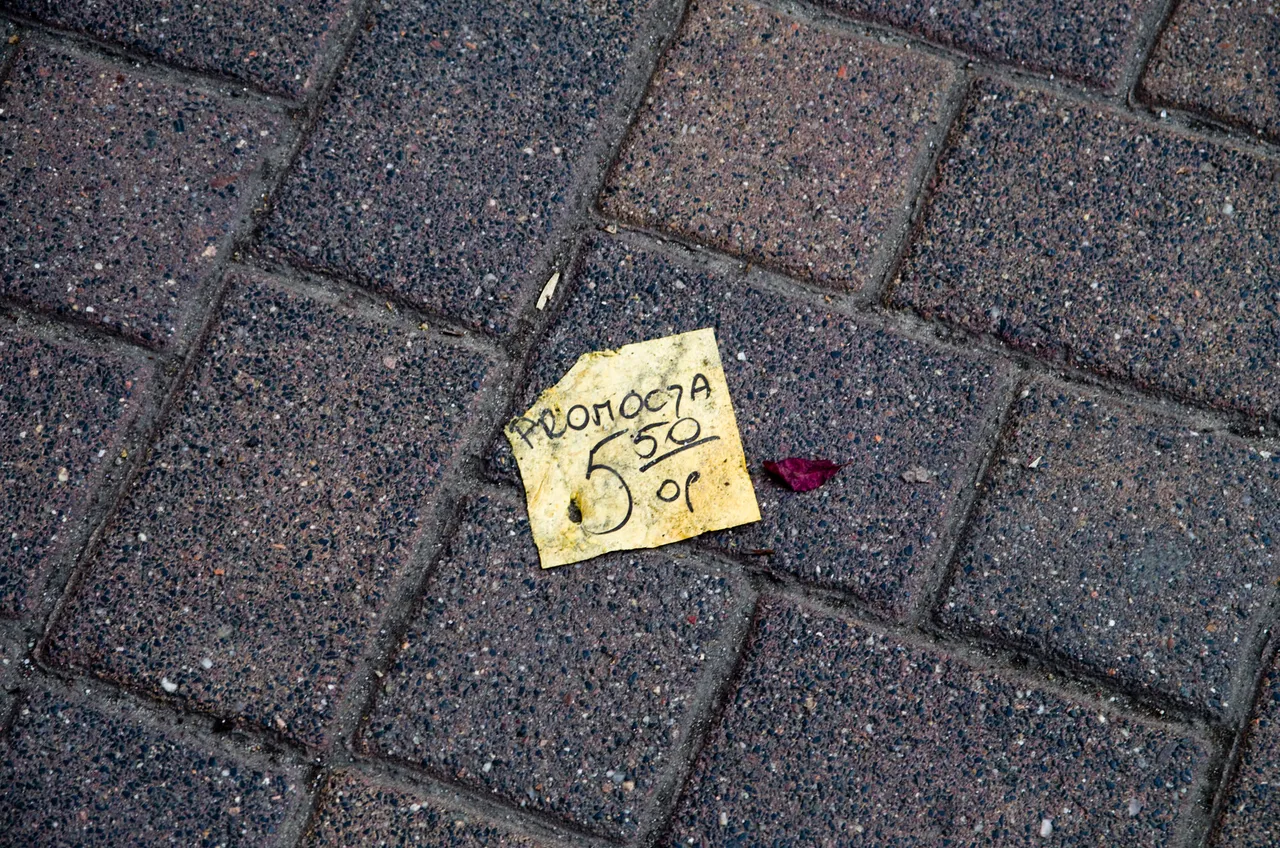 IMGP8356c.jpg