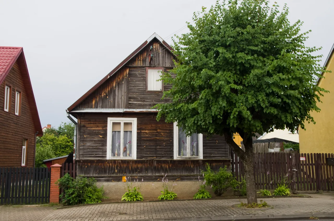 IMGP7151c.jpg