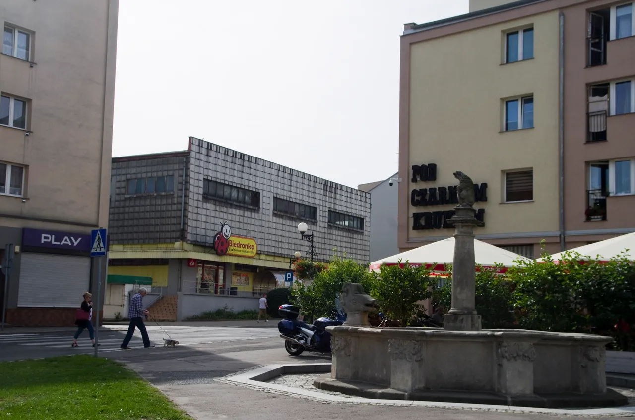 IMGP9062c.jpg