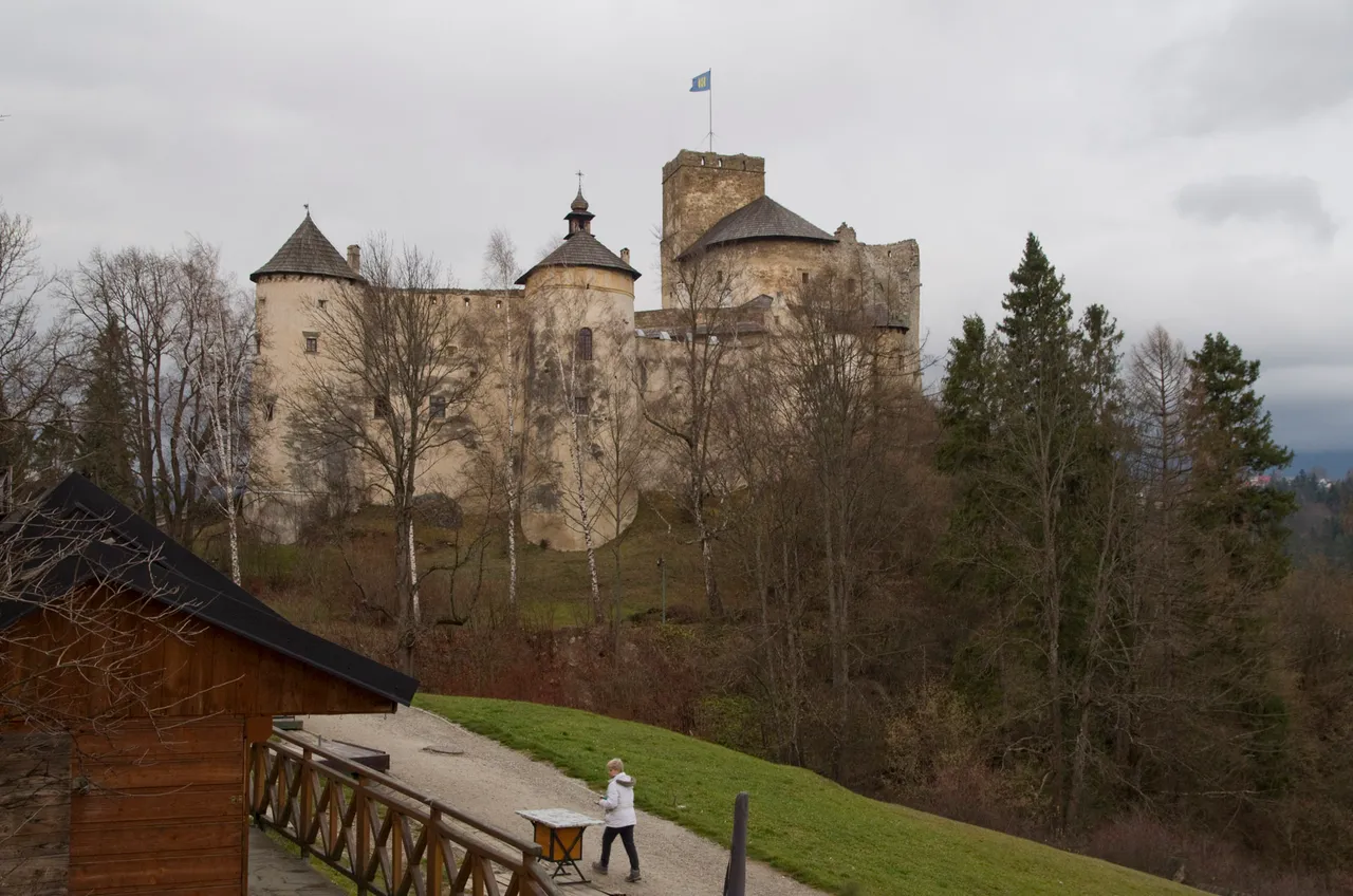 IMGP1251c.jpg