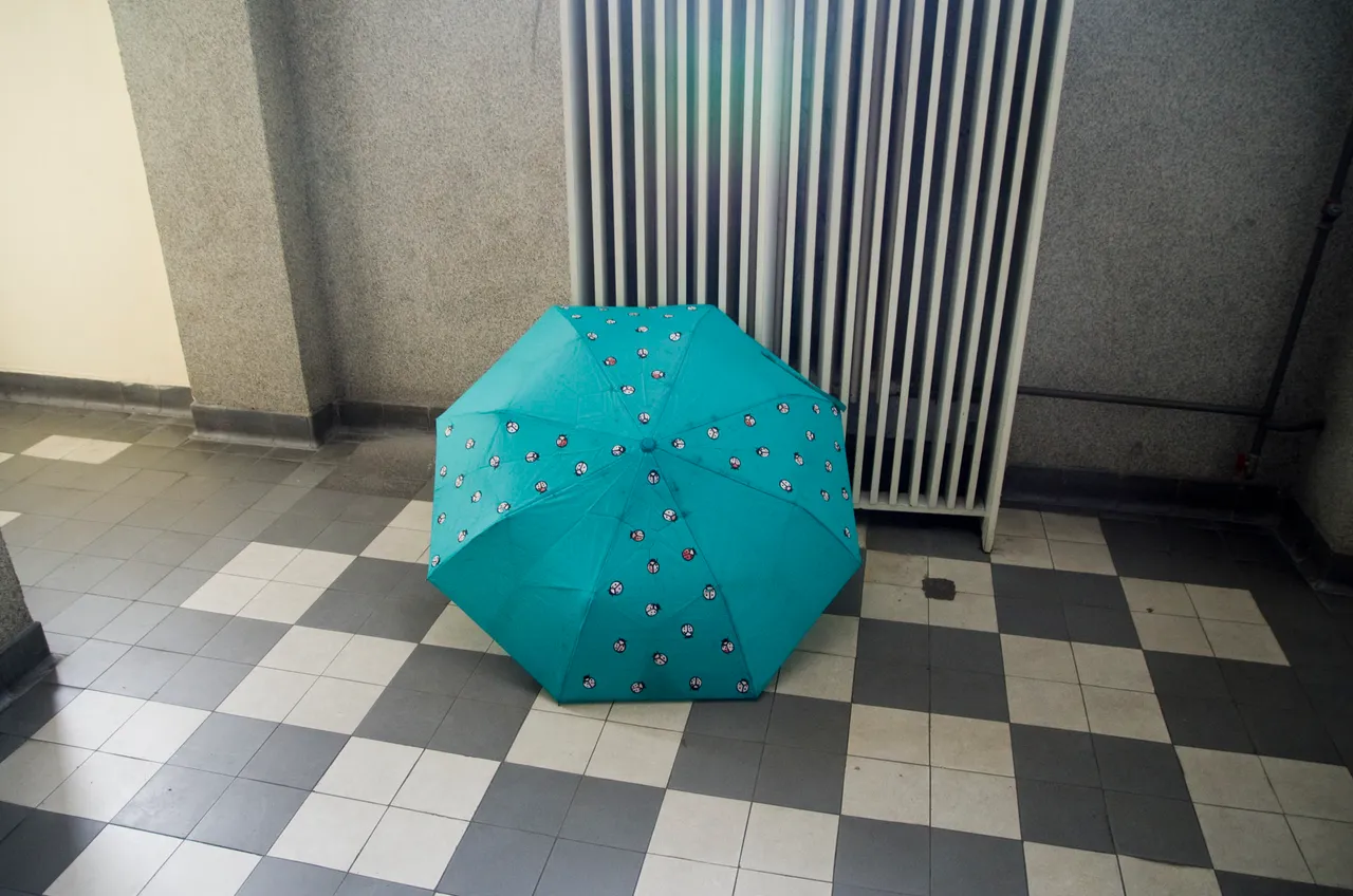 IMGP7841c.jpg