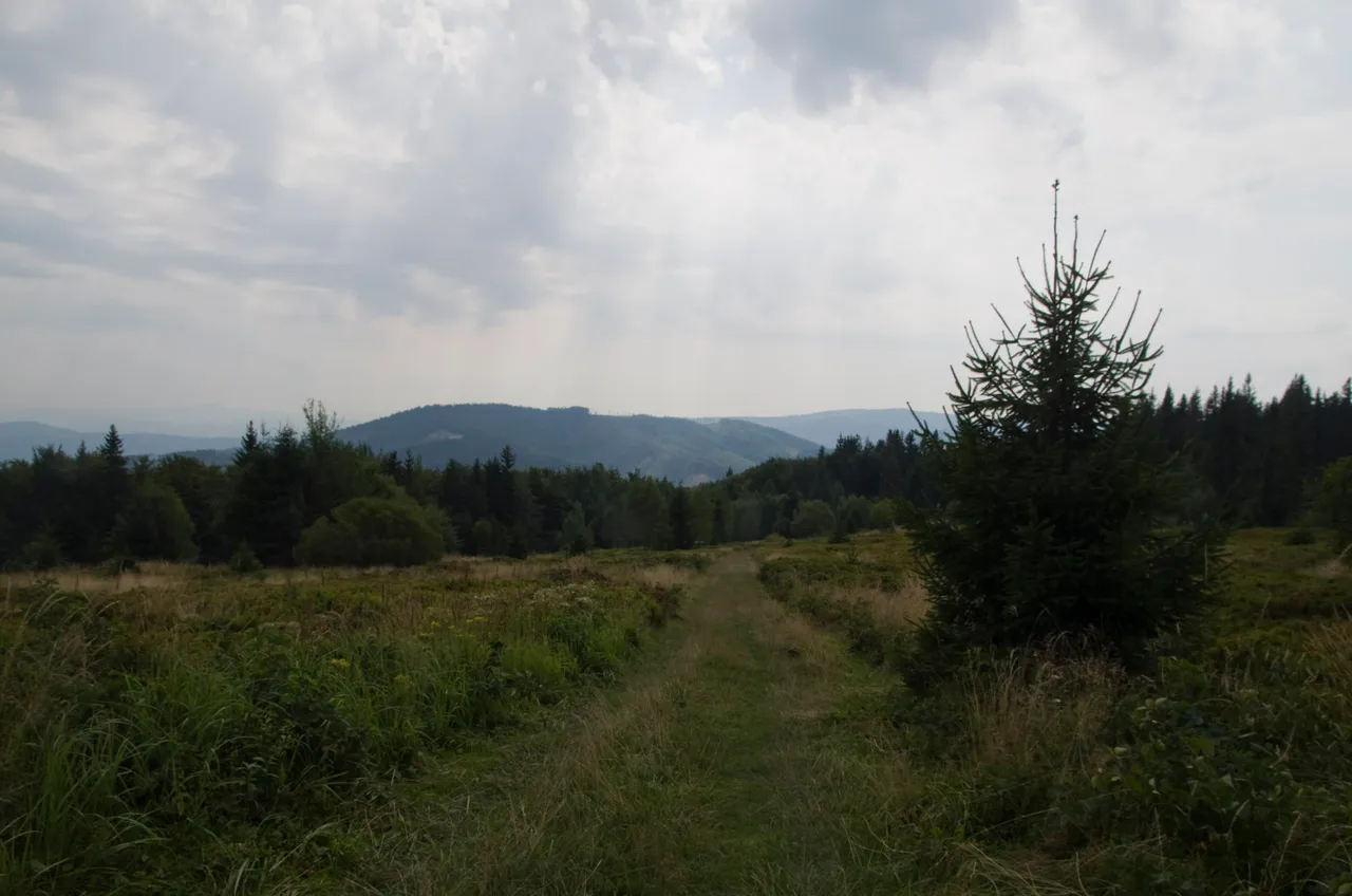 IMGP8835c.jpg