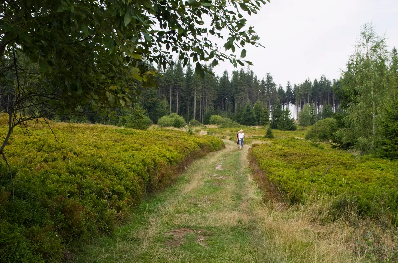 IMGP8839c.jpg