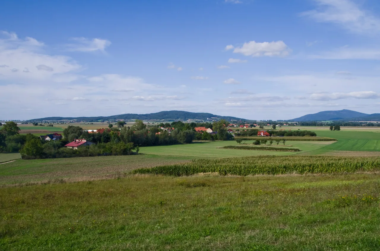 IMGP9033c.jpg