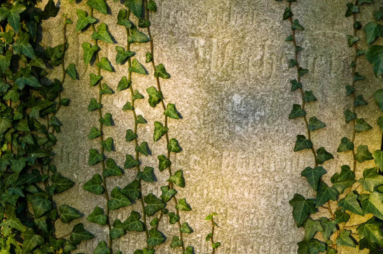 IMGP0729c.jpg