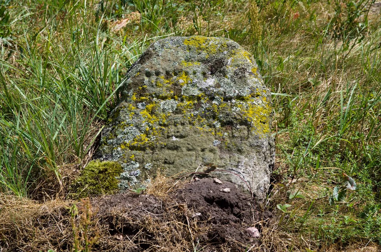 IMGP7796c.jpg
