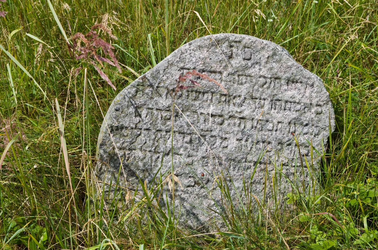 IMGP7797c.jpg