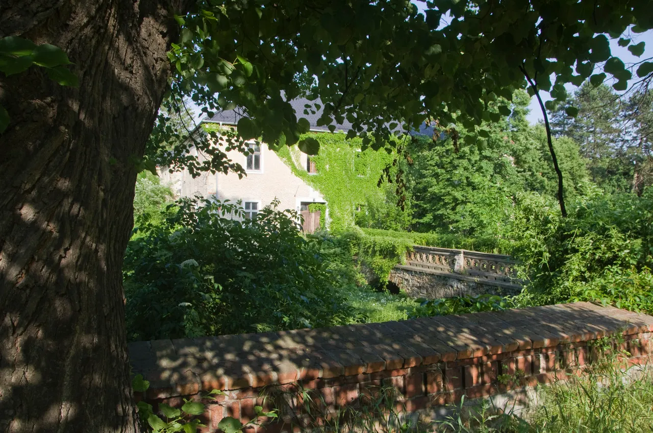 IMGP6435c.jpg