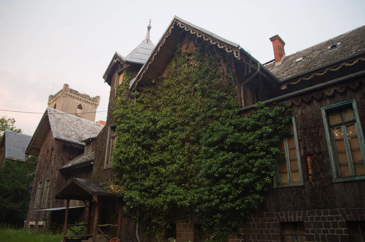 IMGP6551c.jpg