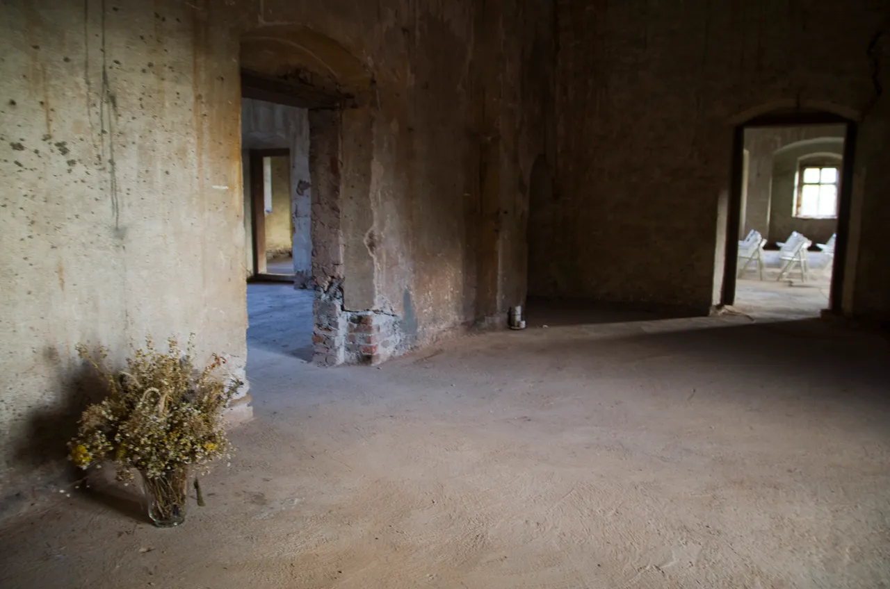 IMGP9975c.jpg
