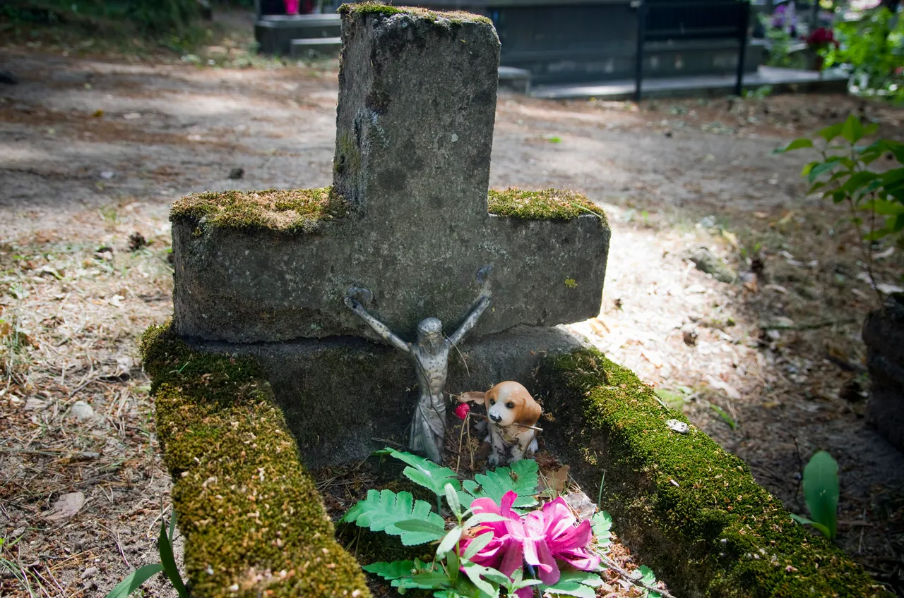 IMGP7205c.jpg