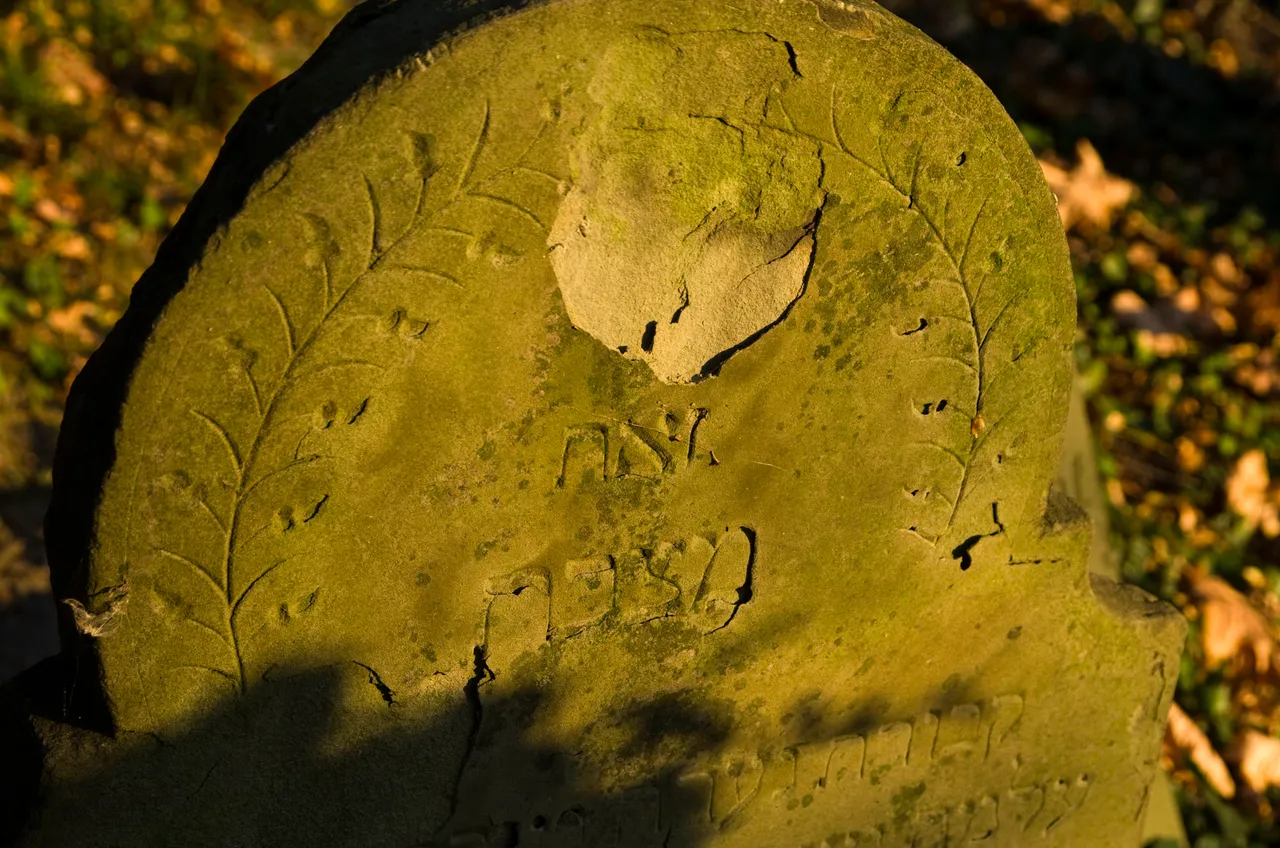 IMGP0724c.jpg