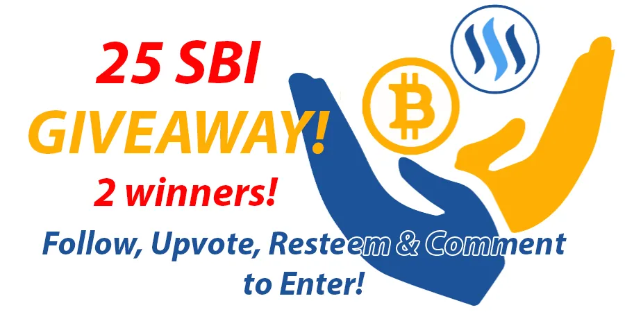 sbigiveaway.png