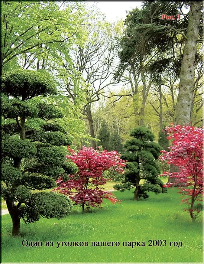 Park der Levashovs - Quelle des Lebens