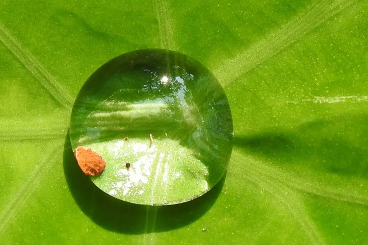 The water that falls off the bottom of the water.