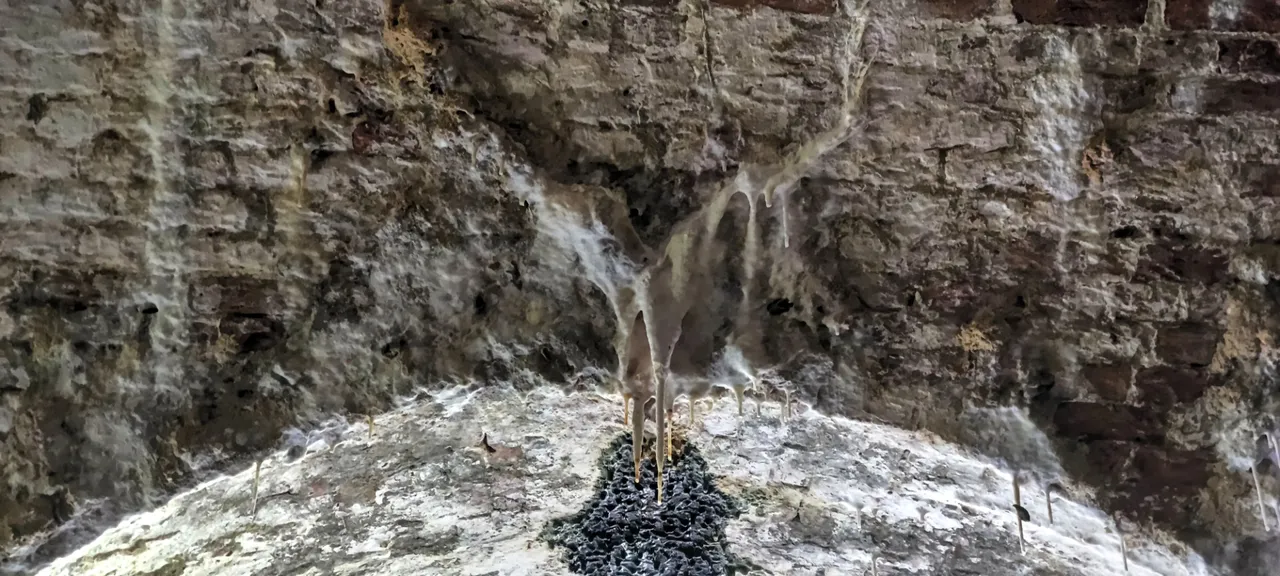 Real stalactite