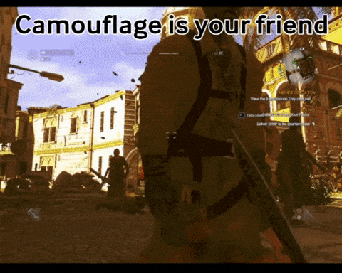 El camuflage es tu amigo