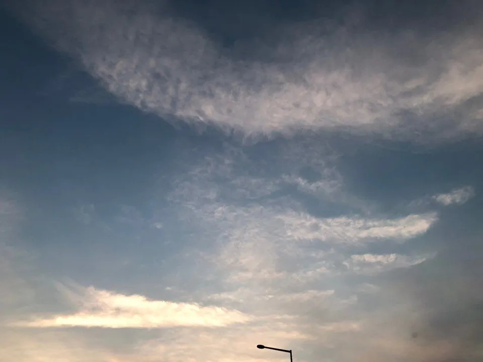 KakaoTalk_20190417_123928700.jpg