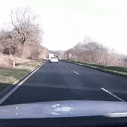 https://thumbs.gfycat.com/AmpleImpeccableGermanspaniel-size_restricted.gif