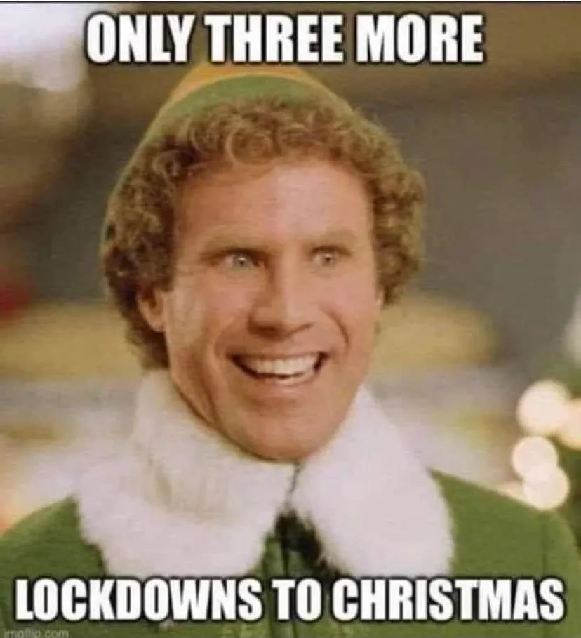 Elf Christmas 3 lockdowns left 139467209_10158681114356893_7882271014094213967_n.jpg