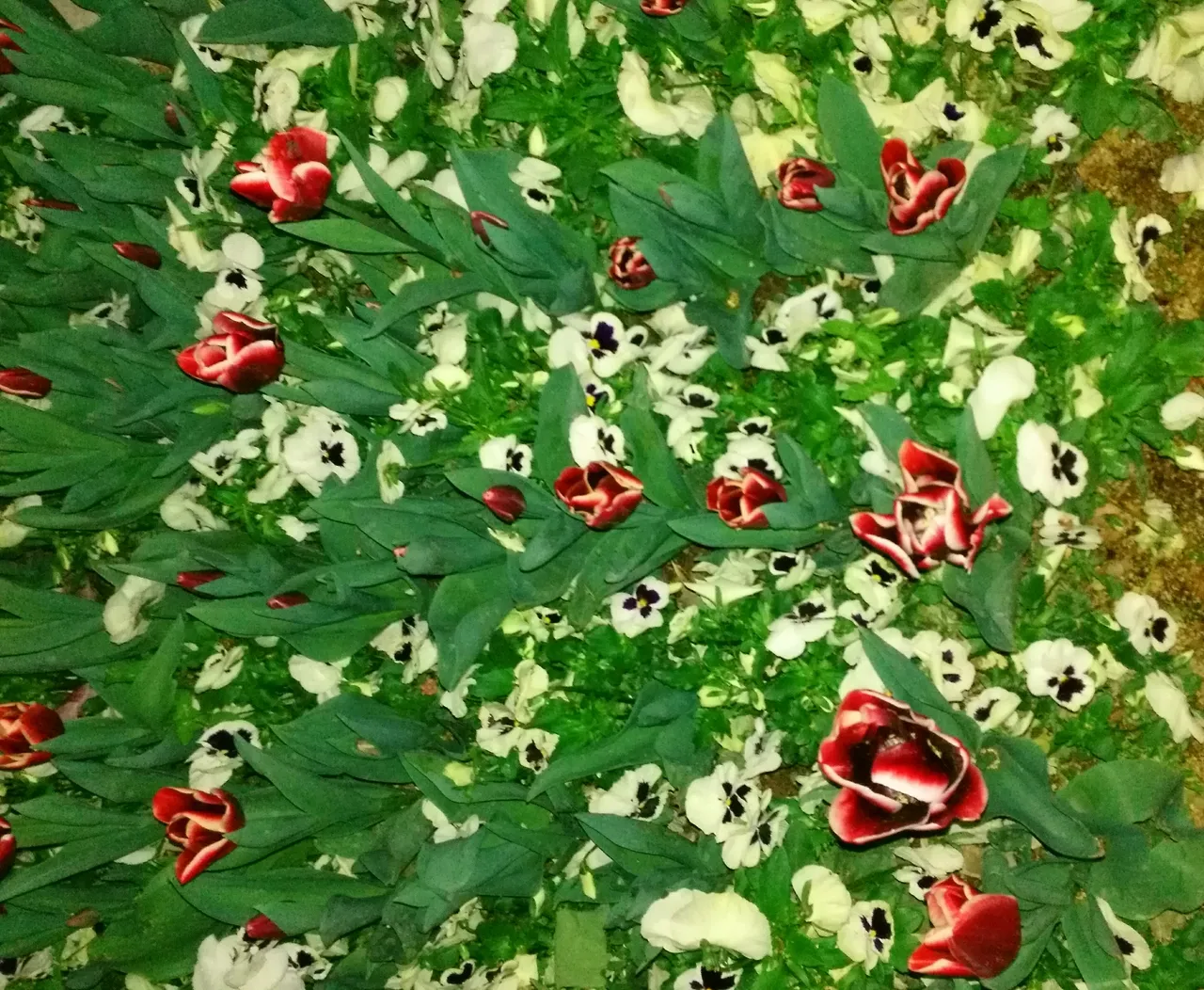 IMG_۲۰۱۸۰۳۲۷_۲۱۲۸۵۴.jpg