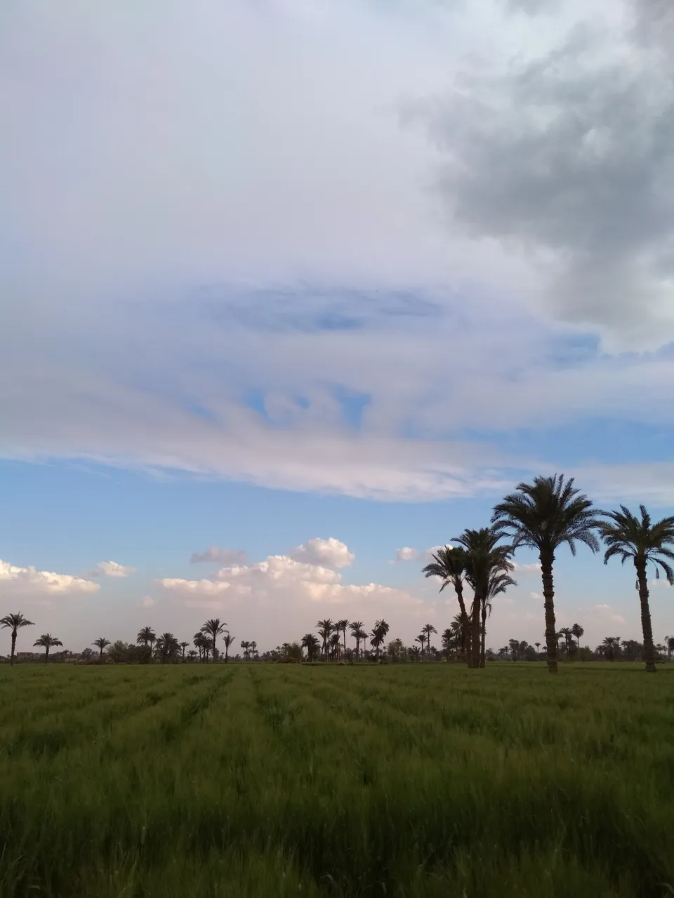IMG_٢٠١٨٠٢١٦_١٥٥٣٠٥.jpg