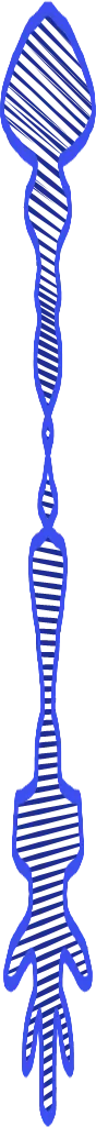 trrr