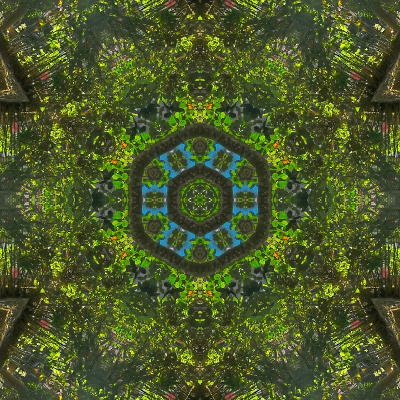 007c